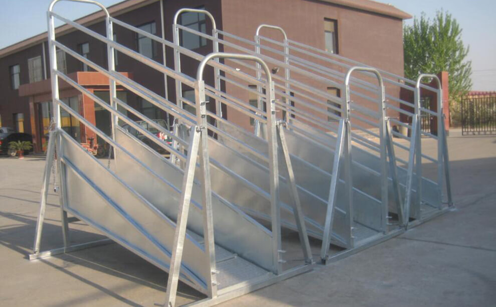 Cattle Panel