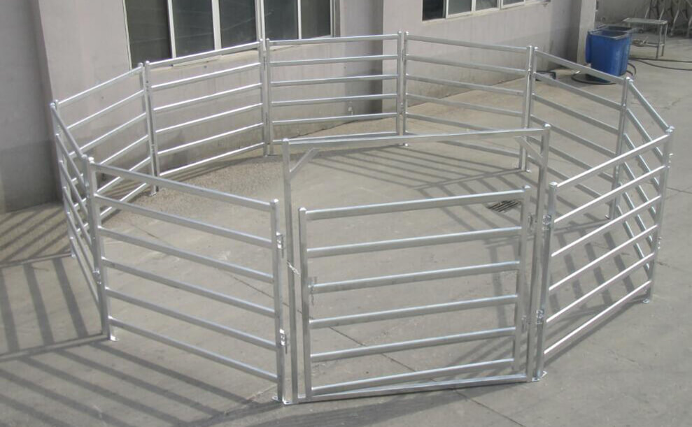 Cattle Panel